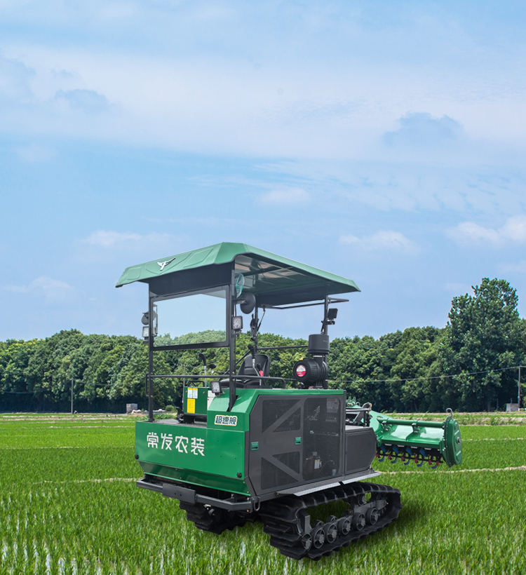 img of cate in index