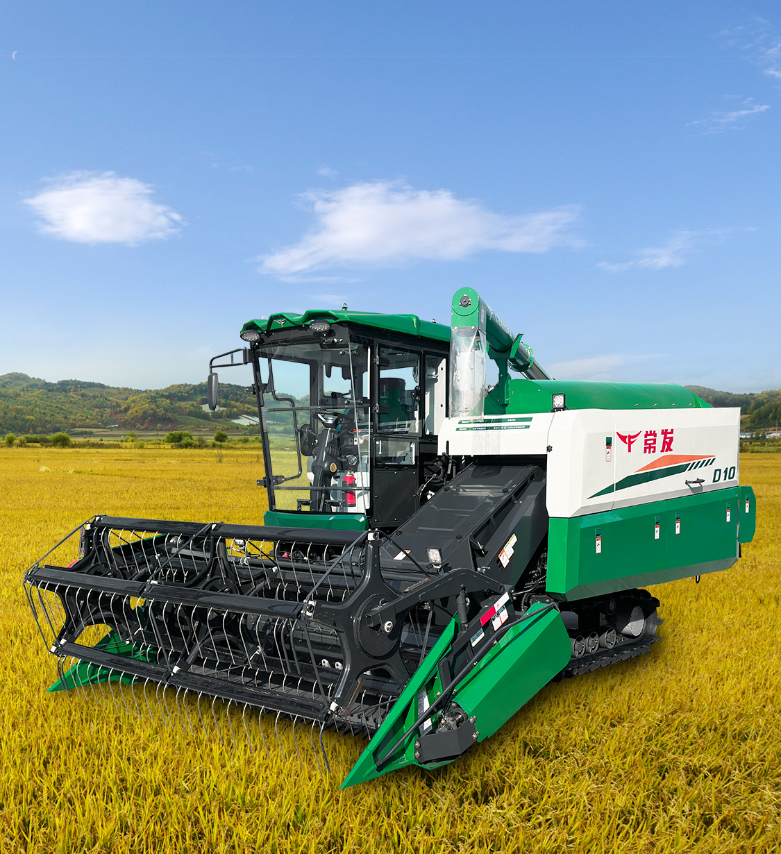 img2 of cate in cate