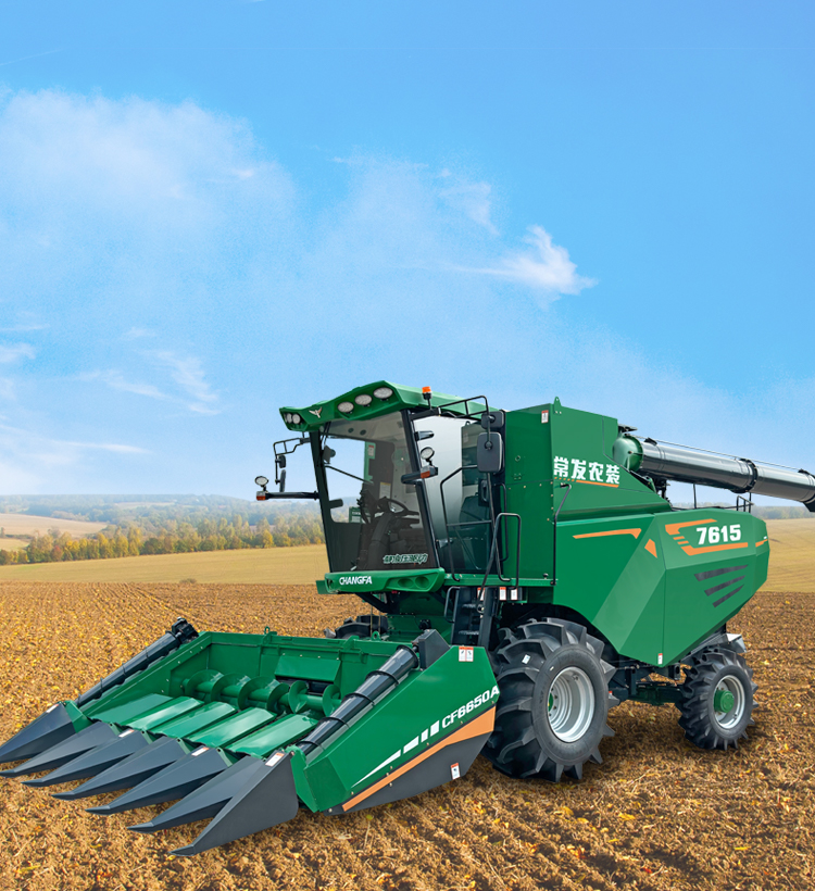 img4 of cate in cate